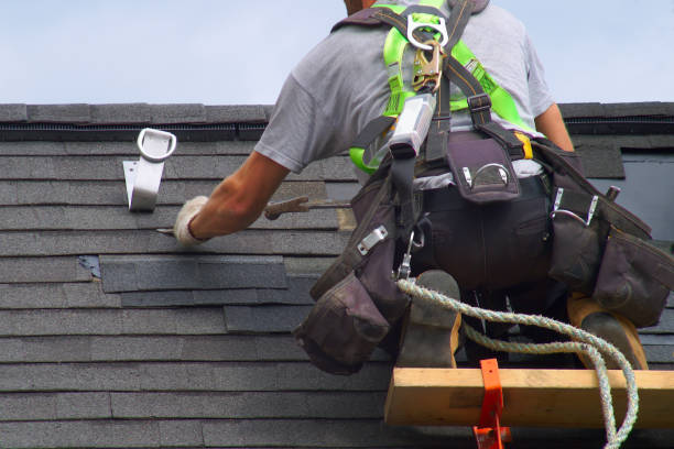 Best Best Roofing Contractors  in Hrison, AR