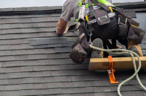 Best Storm Damage Roof Repair  in Hrison, AR
